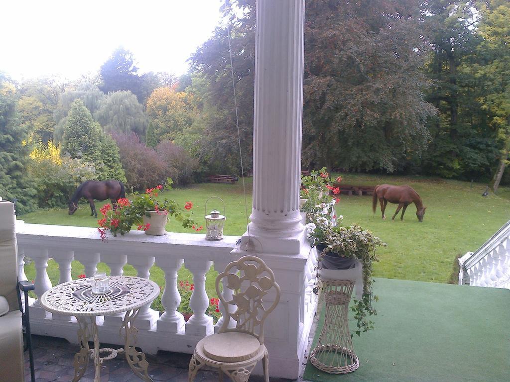 Agroturystyka "Palac W Janowie" Room photo